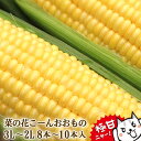 とうもろこし　極甘品種おおもの 生で食べられる　菜の花こーん 8本〜10本(約3.5k以上) 3L〜2L ・2L5本入り 朝採り 農…