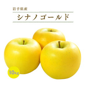 岩手産完熟りんご シナノゴールド 訳あり 10kg 22玉〜46玉 めぐり菜 送料無料 林檎 リンゴ　M 岩手