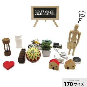 y i `{ z iɑ΂邲{ _{[1 170TCY ybg y  { zy i `    ɍ zy _{[ z