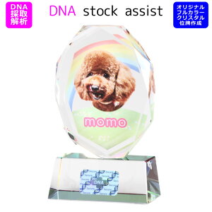 ybg ʔv NX^ yDNA stock assistẑ zO y ؂Ȃ̎qDNAۑ zDNA ۑ y ̂c ztJ[vgT[rX ʐ^  L  ybg