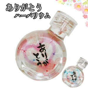 花 瓶 プレゼントの人気商品 通販 価格比較 価格 Com 花 瓶 プレゼントの人気商品 通販 価格比較 価格 Com