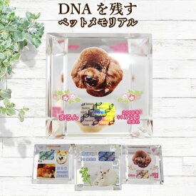 ペット メモリアルグッズ クリスタル モニュメント DNA ホログラム入り フルカラープリント 記念品 置物 誕生日記念 表彰 ギフト プレゼント【DNA stock assist】メモリアル 思い出 ギフト 記念碑 形見