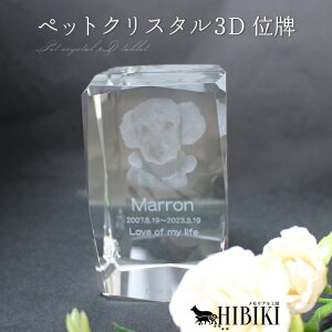 ybgʔv NX^ʔv 3D L[u^ ybgʔv ybg{ 180°  I[_[Ch