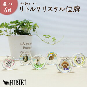 ybg ʔv A ʐ^ I[_[  bZ[W IׂfUC 킢 g ~j RpNgTCY tJ[vg NX^ zCgKX  L  