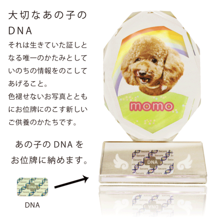 楽天市場】ペット 位牌 クリスタル 【DNA stock assist】虹の 楽天市場】ペット 位牌 クリスタル 【DNA stock assist】虹の
