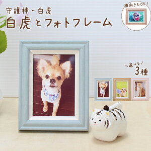 ybg { A 茳{ tHgt[  Zbg 킢 _ RpNgTCY cΉ Ǌ|\ Iׂ3J[