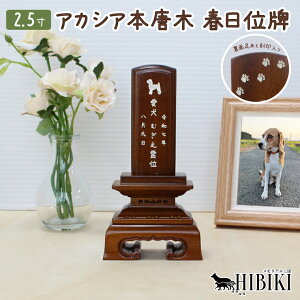 ybg ʔv { t 2.5 {iʔv AJVA I[_[Ch CXg }[LO