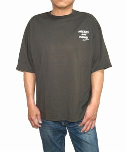 Y TVc fBYj[ ~bL[ ~j[ vg 傫TCY ĕ I[o[TCY