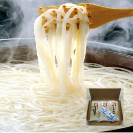 うどん 乾麺 長期保存可能 激安 お試しセット 五島うどん250g【五島手延べうどん250g】にあごだしスープ 1000円ポッキリ 送料無料