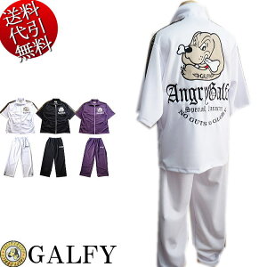 2022NtďHV GALFY/KtB[yz{AO[ lCLhJ ^ؑ W[W pc㉺ZbgAbvX[c //FF(t[) ysmtb-kzykyz̓yYDKG-kz