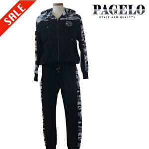 pWF/PAGELO H~ XGbg㉺ZbgLELLTCY 101-