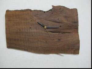 C̖ؖځAfށA`𐶂_PL̊|vł9yz