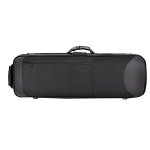 PLAYTECH ( vCebN ) / PTTBSC g{[P[X