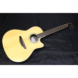 Vi Ovation(Ix[V) / CS24-4-G NA GNgbNEAR[XeBbNM^[/GARV