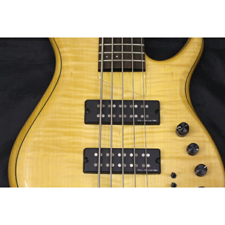 楽天市場】新品 SIRE(サイアー) / M7 Ash 5st 2nd Generation マーカス 