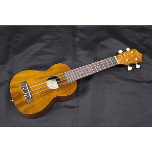 V Aria(AA) / AU-1KG -Soprano- \vmENyNbv`[i[tzċxXyV