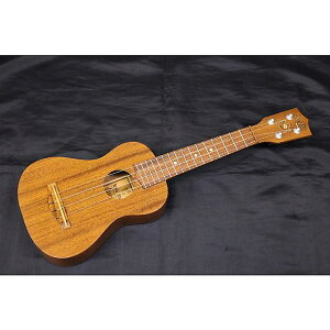 V Kelii(P[/PB) / S-B/M -Soprano- \vmENċxXyV