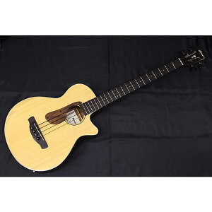 Vi Ibanez(ACoj[Y) / AEGB30E-NTG GNgbNEAR[XeBbNx[X/GARx[XV