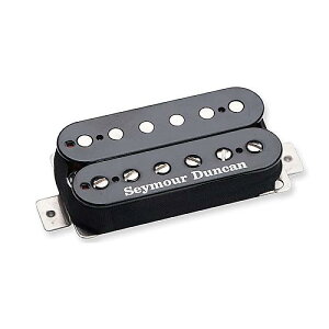 SEYMOUR DUNCAN ( ZCA_J ) / Jason Becker Perpetual Burn Bridge BlackċxXyV