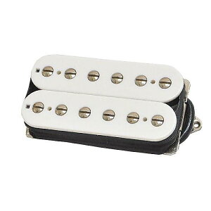 SUHR ( �T�[ ) / DSV BRIDGE WHITE 53mm�ċx�X�y�V����