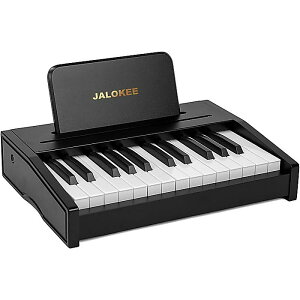 JALOKEE / fW^LbYsAmiubN/25jqp 炨 ؐ cp MtgɍœK j̎q ̎q a NX}XzCgf[ Z[