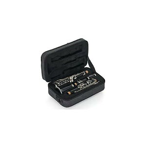 GATOR ( QC^[ ) / GL-CLARINET-A yʃNlbgP[X