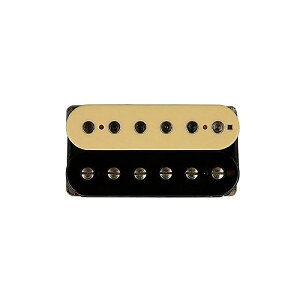SUHR ( T[ ) / Woodbucker Bridge 53mm Reverse Zebraċx݃Z[