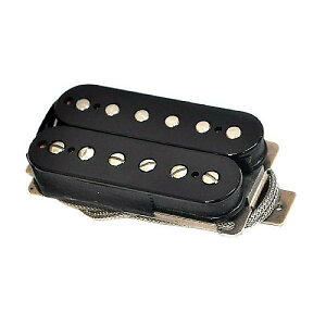 EVH ( �C�[�u�C�G�C�` ) / Frankenstein Humbucker�ċx�X�y�V����