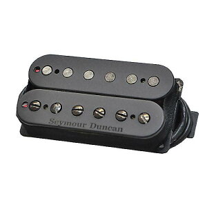 SEYMOUR DUNCAN ( �Z�C���A�_���J�� ) / Pegasus 6-String�ċx�X�y�V����