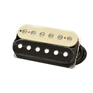 SUHR ( �T�[ ) / Doug Aldrich Neck Reversed Zebra�ċx�X�y�V����