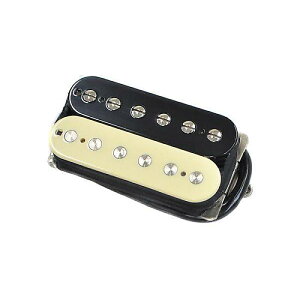 SUHR ( T[ ) / Doug Aldrich Neck Zebraċx݃Z[
