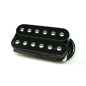 SUHR ( �T�[ ) / DSV Bridge Black 50mm�ċx�X�y�V����