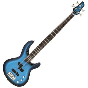 AriaProII(AAvc[) / IGB-STD MBS(Metallic Blue Shade) - GLx[X -zCgf[ Z[