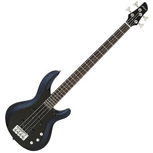 AriaProII(AAvc[) / IGB-STD MBK(Metallic Black) - GLx[X -zCgf[ Z[
