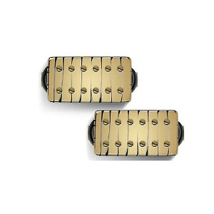 Bare Knuckle Pickups ( xAibNsbNAbvX ) / Aftermath Set Gold Tyger 50mmċxXyV