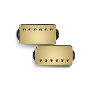 Bare Knuckle Pickups ( �x�A�i�b�N���s�b�N�A�b�v�X ) / Ragnarok Set Gold/Gold Screws 50mm�ċx�X�y�V����