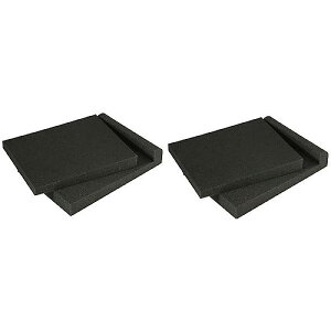 CLASSIC PRO ( �N���V�b�N�v�� ) / CIP10�@�X�^�W�I���j�^�[�p�A�C�\���[�V�����p�b�h�@2�䕪�ċx�X�y�V����