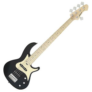 Aria pro II(AAvc[) / RSB-618/5 BK GLx[XV