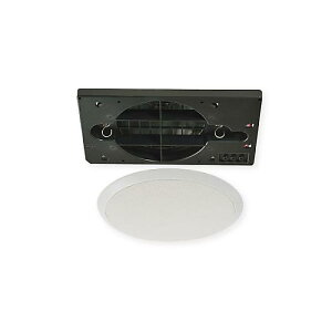 MASSIVE ( �}�b�V�u ) / CL-H120RN�ċx�X�y�V����