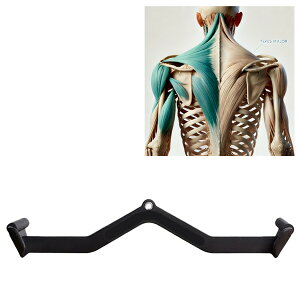 yS̍KizPerfect Grip ChObv bg}V A^b`g fBVv p[tFNgObv MAGObv݊izCgf[ Z[