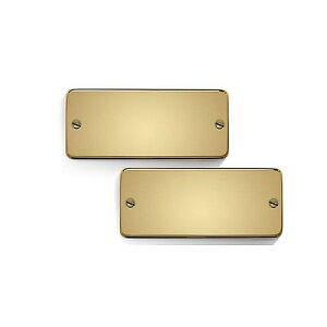 Bare Knuckle Pickups ( xAibNsbNAbvX ) / Aftermath 7strings Set Gold SoapbarċxXyV