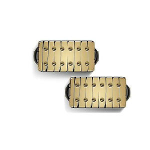 Bare Knuckle Pickups ( xAibNsbNAbvX ) / Aftermath Set Gold Tyger 53mmċxXyV