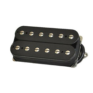 SUHR ( �T�[ ) / DSV Bridge Black 53mm�ċx�X�y�V����