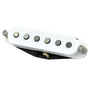 SUHR ( �T�[ ) / V63 Neck White�ċx�X�y�V����