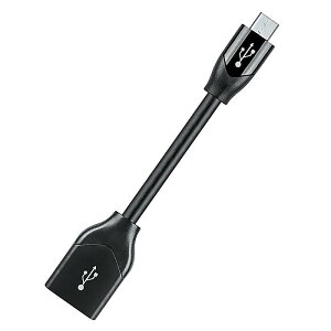 AudioQuest(I[fBINGXg) / DragonTail USB A  Micro USB A_v^[iVo[́EmCYj [DRAGONTAILAND]ċxXyV