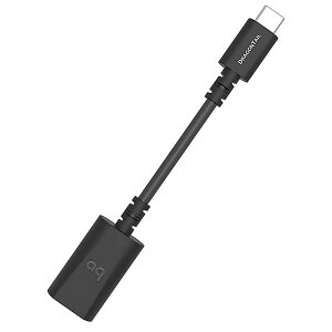 AudioQuest(I[fBINGXg) / DragonTail USB-AUSB-C A_v^[iVo[́EmCY΍dlj[DRAGONTAILUSBC]ċxXyV