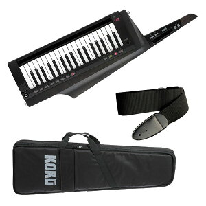 KORG(RO) / RK-100S 2 BK (gX[ZgEubN) - L[^[ / V_[L[{[h -ypLOobOEXgbvtzubNtCf[