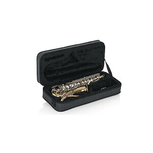 GATOR ( QC^[ ) / GL-ALTOSAX-MPC yʃAgTbNXP[X