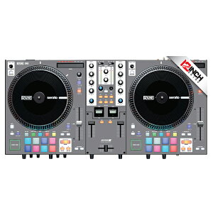 12inch SKINZ / Rane One / Skinz (Colors GRAY) @ޗpXLċxXyV
