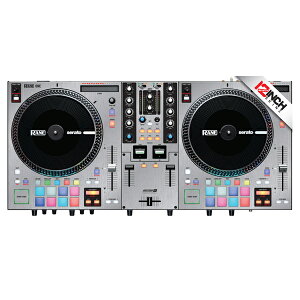 12inch SKINZ / Rane One / Skinz (Metallics BR/SILVR) @ޗpXLċxXyV